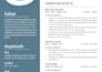 design a professional creative resume and CV